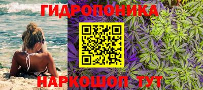 прущие грибы Гудермес